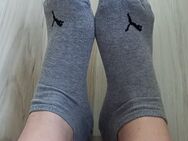 Die Besten getragenen Socken die du je gerochen hast🥵🥵 - Hannover