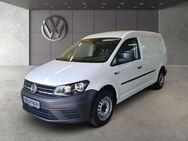 VW Caddy, 2.0 TDI Maxi Kastenwagen, Jahr 2019 - Landsberg (Lech)