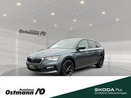 Skoda Scala, Ambition 85kw TDI, Jahr 2019 - Niestetal