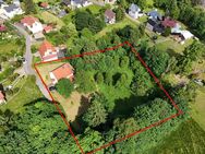 Einmalige Gelegenheit in Toplage von Tambach-Dietharz / Sanierungsobjekt direkt am Wald - Tambach-Dietharz (Thüringer Wald)