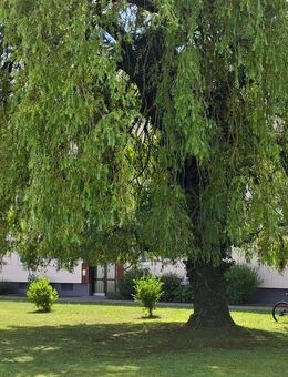 Helle attraktive 3-Zimmerwohnung im besonders ruhiger, grüner Wohnanlage - Ottobrunn