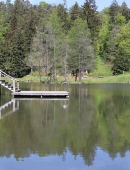 Sommerfeeling am See - Saldenburg