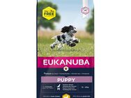 3 kg gratis! 18 kg Eukanuba Breed Huhn - Puppy Medium