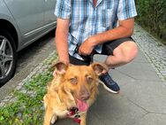 Suche Freundin - Harztor