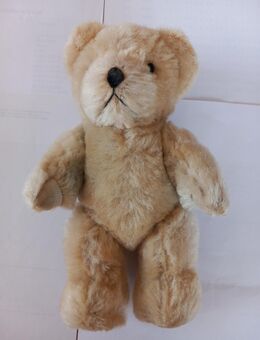 Teddy / Bär - Braun - ca- 20 cm - Kuscheltier - Stofftier - Bad Segeberg