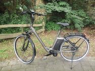 Raleigh E-City NEWGATE PREMIUM 8G 17,0AH 36 - Bad Münder (Deister)