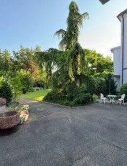 Helle 4-Zimmer-Wohnung in Weil am Rhein - Weil (Rhein)