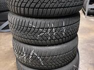 4x Winterreifen (Dunlop 205/55 R16 91H) - Esslingen (Neckar)