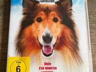 Lassie Film - Mönchengladbach