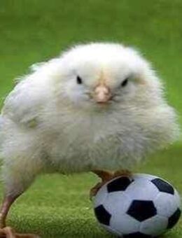 Schöne 2 Zimmer im 3. Obergeschoss - Balkon - Duisburg