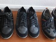 3 Paar Halbschuhe von Geox in Gr. 44 - Frankfurt (Main) Bergen-Enkheim