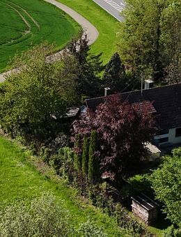 Charmantes Haus in Alleinlage von Ilshofen! Mit großem Grundstück! - Ilshofen