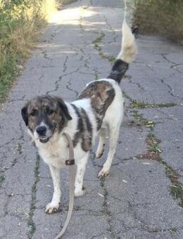 Nelly - Weilmünster