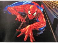 Spiderman - Aufkleber 28 x 20 cm - Doberschütz