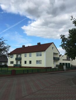 4 Wohnungen in 31618 Liebenau - Liebenau (Niedersachsen)