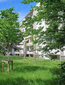 Neues Jahr, neues Glück, Anmietung ab Februar 2026, Familien Herzlich Willkommen! - Dresden