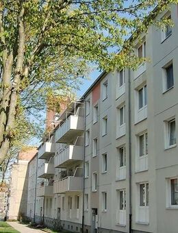 3-Zimmer-Wohnung zwischen See und City - Prenzlau