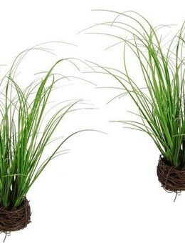 Kunstpflanze Gras im Reisig, I.GE.A., Höhe 30 cm, Künstlicher Grasbusch, 2er Set