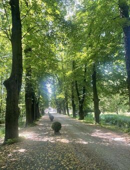 Sie lieben das Ausgefallene? - Bergheim (Nordrhein-Westfalen)