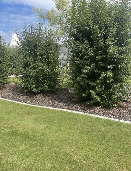 Raus aus der Miete - wir realisieren jetzt Ihr Wunschhaus! Grundstück verfügbar! - Villenbach