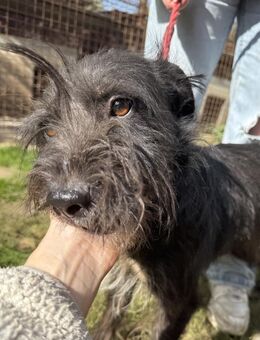 Lidi - möchte bei Dir einziehen! - Köln