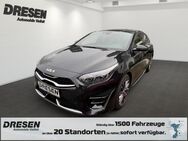 Kia pro cee'd, 1.5 GT-LINE T 140, Jahr 2024 - Neuss