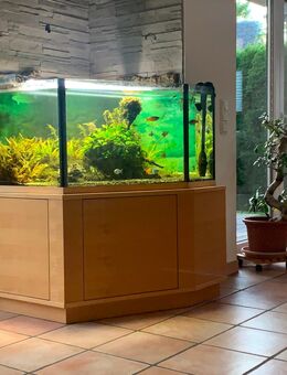 Aquarium - Münster