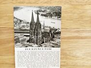 Ansichtskarte-Ak-319-Köln am Rhein-Der Kölner Dom. - Nörvenich