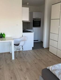Renoviertes und voll möbliertes Apartment in zentraler City-Lage - Ludwigshafen (Rhein)