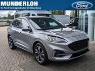 Ford Kuga, , Jahr 2020 - Oldenburg