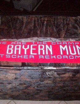 FC Bayern Schal - Erwitte