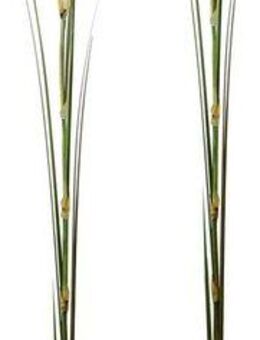 Kunstpflanze Pampas, I.GE.A., Höhe 125 cm, Pampasgras, Boho, 2er Set