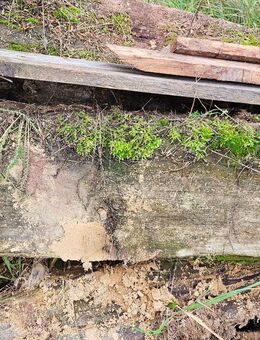 Bahnschweller zu verschenken - Bad Arolsen