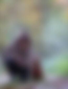 Sil*** - Heidenheim (Brenz)