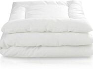 Julius Zöllner Ganzjahresbettdecke + Kopfkissen Hygienika, 2-tlg, Hergestellt in Deutschland, Füllung: DACRON Hollofil® von DuPont, Bezug: 65% Polyester, 35% Baumwolle, Decke mit Kissen, Decke 100x135cm, Kissen 40x60cm und weitere Größen