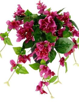 Kunstpflanze Bougainvillea, I.GE.A., Höhe 40 cm, im Kunststofftopf