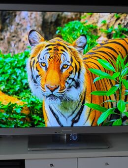 TX-42EW55 LCD-Fernseher (42 Zoll / 106 cm) - Berlin Treptow-Köpenick