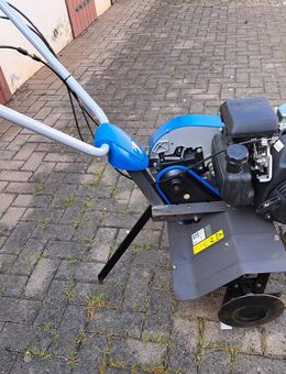 Motorhacke zu verkaufen - Heringen (Helme) Uthleben