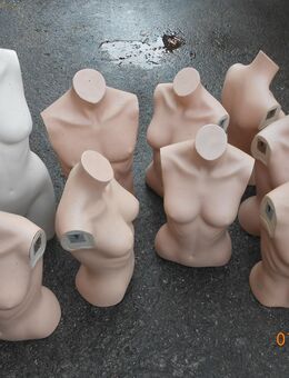 4 x Torso - EURO DISPLAY - München Maxvorstadt