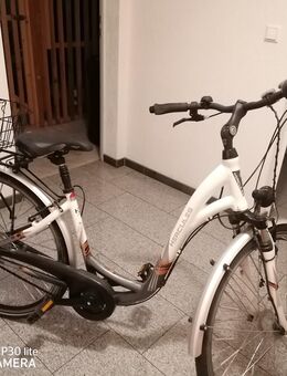Damen Fahrrad zu verkaufen - Bad Friedrichshall