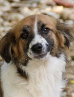 Wilhelm möchte viel lernen - Schwabach