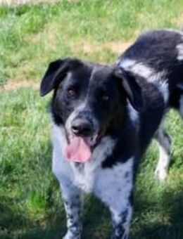 Armer Thommy - München