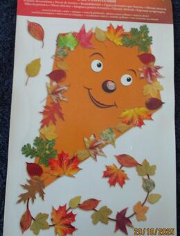 Herbstdeko Fensterbilder ZU VERSCHENKEN - Angebot gilt nur bis 21.10. - Maintal