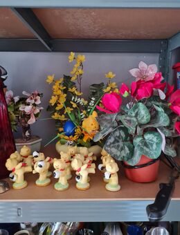 Kleiner Schnäppchen Flohmarkt hof - Hof Zentrum