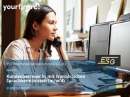 Kundenbetreuer:in mit französischen Sprachkenntnissen (m/w/d) - Rheinstetten