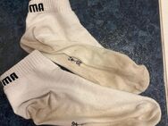 Socken aus dem Gym von muskulösem 19 Jährigen - Wiesbaden