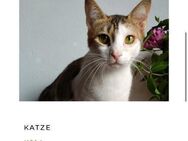 Nora&Keti suchen liebesvolles Zuhause - Hamburg