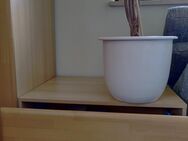 Jugendzimmer / Schlafzimmer - Ingolstadt