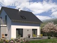 Sie haben Spinnen in Ihrer Mietwohnung? Bauen Sie einfach neu! - Laupheim