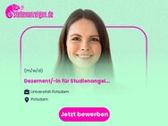 Dezernent/-in für Studienangelegenheiten (w/m/d) - Potsdam